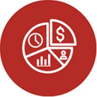 TSL CFO (DYREKTOR FINANSOWY W TSL) - OUTSOURCING